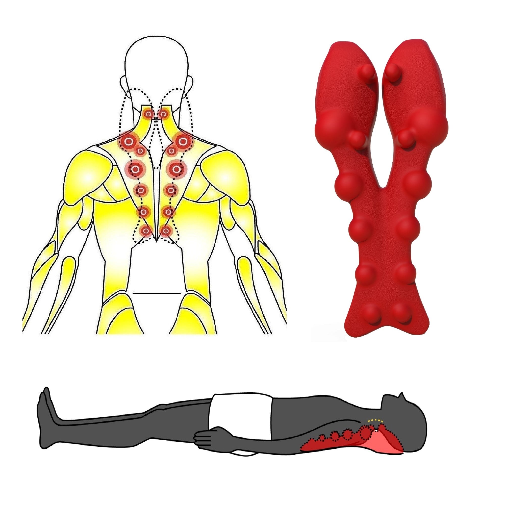 Catalpau Trapezius Trigger Point Stimulator, Deep Tissue Massager for Neck  Back and Shoulder Pain, H…See more Catalpau Trapezius Trigger Point